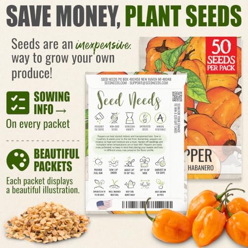Seed Needs Orange Habanero Hot Pepper Seeds to Plant Vegetables - 10 Packs - Image 3