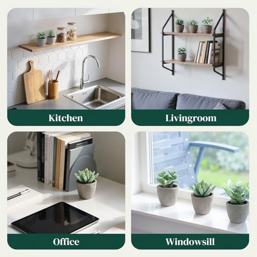 DomeStar Set of 6 Artificial Green Succulent Plants Potted - Image 6
