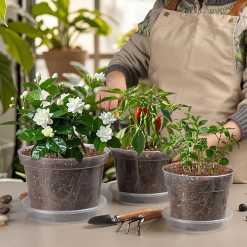 9 Pack 8/7/6 Inch Clear Nursery Pots for Plants with Saucer, Transparent Plastic Plant Pots with Drainage Holes, Sturdy Seedling Starter Pot, Garden Planter Pot for Succulents Flowers Herb Vegetables - Image 5