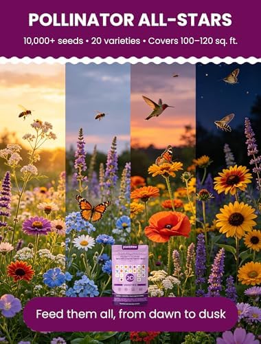 Wildflower Seeds Mix – Pollinator All-Stars, 20 Heirloom Varieties, 112,500+ Seeds (1lb) Covers 1125-1350 sq.ft. – High Germination for Bees, Butterflies, Hummingbirds & Moths Outdoor Garden - Image 2