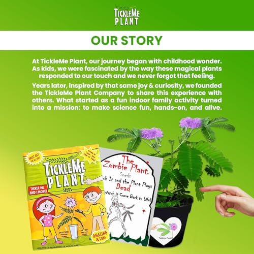 Zombie Plant Seed Packets – Grow a Live Sensitive Plant that Plays Dead When Touched! Indoor Plant Seeds & Educational STEM Activity | House Plant Seeds | Unique Garden Seeds – 2 Pack - Image 3