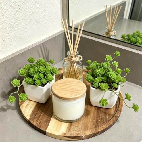 Artificial Green Trailing Rosette Succulent Potted Plant, 2 Pack - Image 4