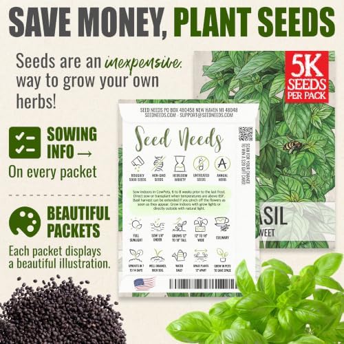Seed Needs Sweet Basil Seeds to Plant Non-GMO Heirloom Genovese XL Pack - Image 3