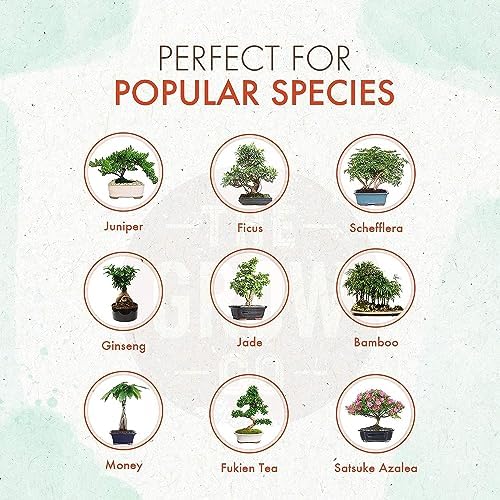 Bonsai Fertilizer - Gentle Slow Release Plant Food Pellets - Ideal for All Indoor and Outdoor Bonsai Tree Plants in Pots (5 oz) (Pack of 2) - Image 4