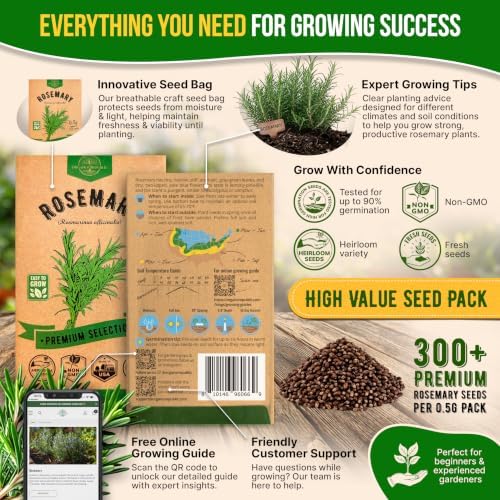 Rosemary Seeds Pack 0.5 G - Over 325 Non-GMO Heirloom Seeds for Planting Herbs in Individual Packet, Home Garden Indoor & Outdoor Gardening - Image 3