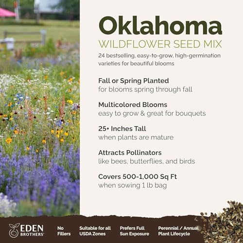 Eden Brothers Oklahoma Wildflower Mixed Seeds for Planting, 1 lb - Image 2