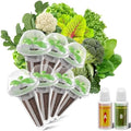 inbloom Salad Green Seed Pod Kit for AeroGarden, Ahopegarden, GARDENCUBE, MUFGA, 7 Pods (350+ Seeds with American Fast/Paris Island/Buttercrunch Lettuce, Swiss Chard, Spinach, Cauliflower, Cabbage) by inbloomgarden