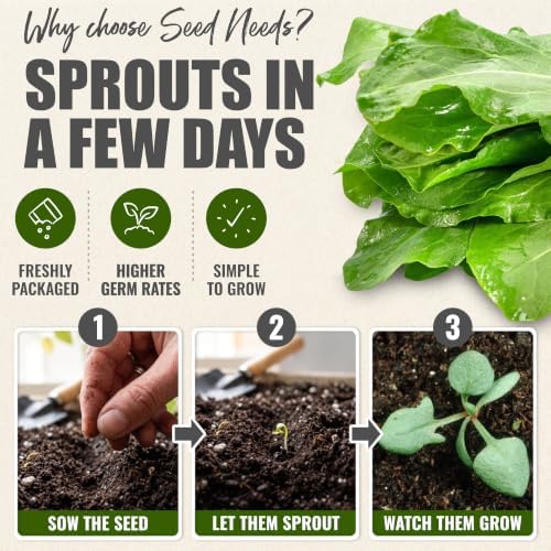 Seed Needs Large Leaf Sorrel Seeds to Plant an Herb Garden - 5 Packs - Image 5
