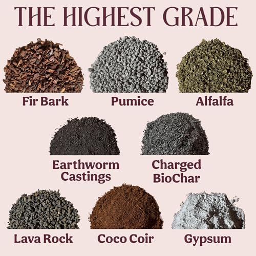 Craft Houseplant Potting Mix, Organic Indoor Potting Soil for House Plants, Chunky Well Draining Plant Soil for Pothos, Snake Plant & Tropical Plants, Peat Free, 12 Quart - Image 5