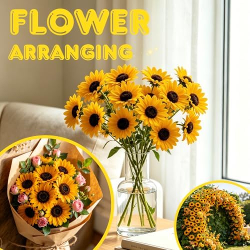 Brown-Eyed Susan Seeds for Planting, 5000 Biennial Rudbeckia Triloba - Image 4