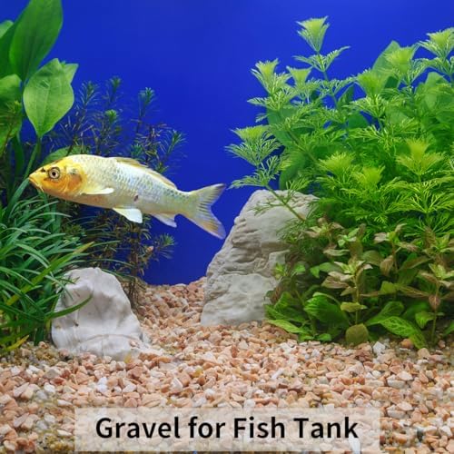 FANTIAN 2 lbs Pea Gravel for Plants, 3/8 Inch Pebbles for Vase - Image 6