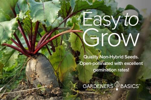 Gardeners Basics, Beet Seeds for Planting Home Garden - 5 Variety Pack Detroit Dark Red, Golden Detroit, Early Wonder, Cylindria and Chioggia Great for Spring, Summer, Fall, Heirloom Veggie Seeds - Image 5