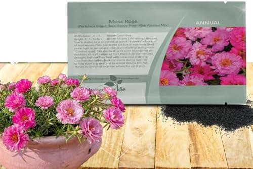 Outsidepride Pink Mixed Moss Rose Seeds - 250 Pcs Annual, Drought & Heat Tolerant, Pollinator Friendly Ground Cover Seeds for Planting w/Vibrant Blooms & Succulent Foliage, Ideal for Xeriscaping by Outsidepride