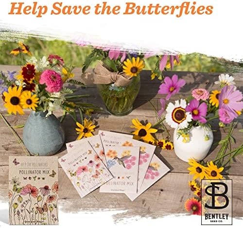 Bentley Pollinator Mix - Pre-Filled, Non-GMO, Non-Coated Butterfly Packets - 25 Annual Wildflower Seeds - Perfect Eco-Friendly Gift - Image 5