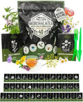 Tactiko Medicinal & Tea Herb Seeds Kit | 40 Varieties | Non-GMO | US Grown by TactikoSurvival