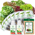 Lettuce Seed Pods for All Hydroponics Growing System, 8 Pods with 600+ Seeds of Romaine/Butter Head/Red&Green Leaf/Black Seeded Simpson/Red Sail and Marvel of 4 Seasons by HiHOYA