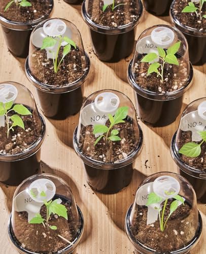 homenote 3/4/5 Inch Black Plastic Nursery Pots with Humidity Domes (15 Pcs) - Image 3