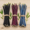Ornamental Willow Cuttings Variety Pack | 15 Live Willow Bush Cuttings for Planting | 5 Blackskin, 5 Purple Continental & 5 Blue Bark Willow Shrubs | Fast Growing Colorful Landscape Bushes by CZGrain