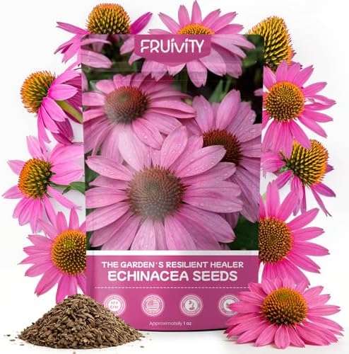 Coneflower Seeds 1 oz (Over 10,000+ Seeds) – Echinacea Seeds for Planting, Heirloom Perennial Flower Seeds, Easy to Grow for Pollinators, Flower Seeds to Plant Outside for Indoor & Outdoor Garden by Fruivity