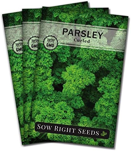Sow Right Seeds - Curled Parsley Seed for Planting Your Own Herb Garden 3pk by SowRightSeeds