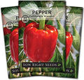Sow Right Seeds - California Wonder Pepper Seed for Planting Outdoors 3pk by SowRightSeeds
