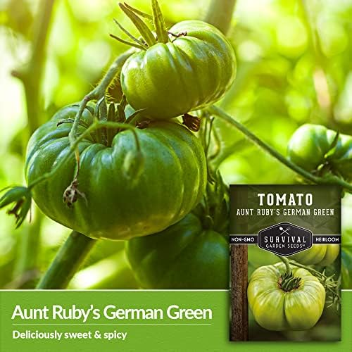 Aunt Ruby's German Green Tomato Seeds for Planting - 1 Pack - Image 4