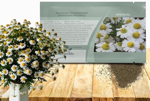 Outsidepride German Chamomile Seeds - 5000 Pcs Annual, Drought Tolerant, Self-Seeding & Versatile, Herb Seeds for Planting Sweet Scented Daisy-Like Blooms, Ideal for Slopes & Pollinator Gardens by Outsidepride