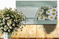 Outsidepride German Chamomile Seeds - 5000 Pcs Annual, Drought Tolerant, Self-Seeding & Versatile, Herb Seeds for Planting Sweet Scented Daisy-Like Blooms, Ideal for Slopes & Pollinator Gardens by Outsidepride