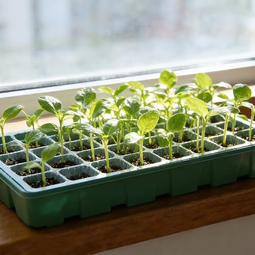 Seed Starter Tray Kit, 5-Pack with Humidity Domes & Base - 200 Cells Total (40 per Tray), Durable Mini Propagator Greenhouse for Optimal Seed Germination, Indoor Gardening, Plant Growing - Image 6