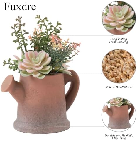 Artificial Succulents in Waterproof and Drop-resistant Pots with 2 Pack - Image 3