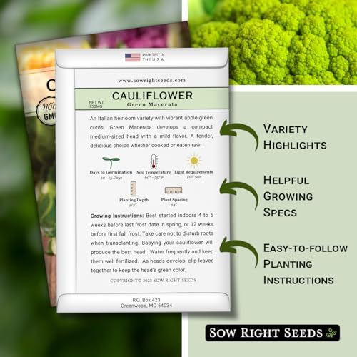 Sow Right Seeds - Green Macerata Cauliflower Seed for Planting Vegetables - Image 2