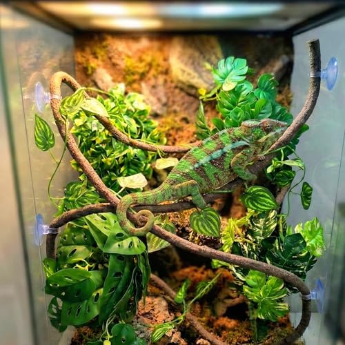 5 Pcs Reptile Plants & Habitat Decor Kit - 3 Artificial Plants & Large 5ft Jungle Vine Branch, Amphibian Habitat Hideout Tank Decorations fit Crested Gecko Leopard Lizard Chameleon Ball Python Frog - Image 3