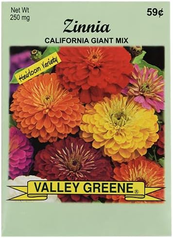 Set of 100 Flower Seed Packets! Flower Seeds in Bulk (100, Zinnia Cali Giant) by BlackDuckBrand