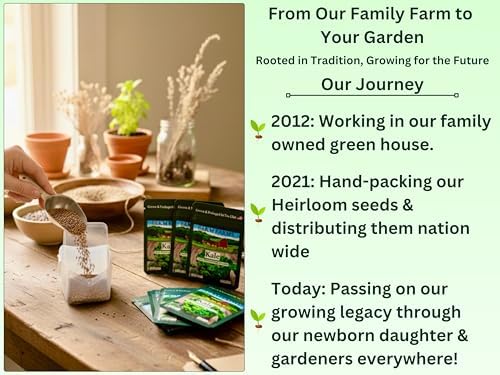 B&KM Farms Vegetable Seed Collection - 30 Varieties, 60 Packets, 66,000+ Heirloom Non-GMO Seeds, Resealable Storage Packaging (60 Pack: The Family Garden Bank) - Image 4