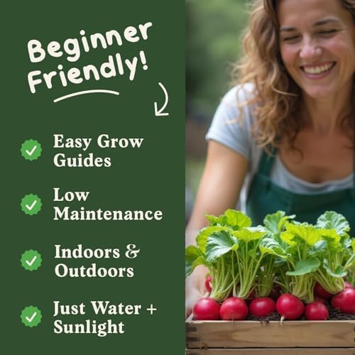 Organic Non-GMO Vegetable Seeds for Planting (Cherry Belle Radish) - Image 4