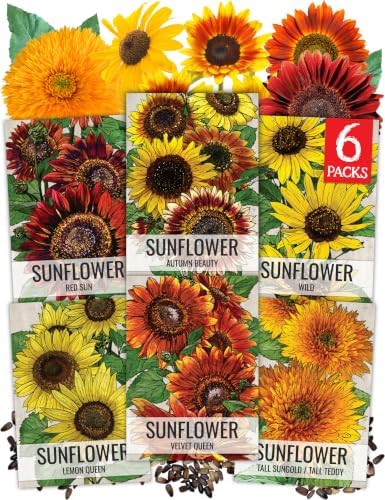 Seed Needs Sunflower Seeds Variety Pack of 6 Flowers for a Butterfly Garden by SeedNeeds