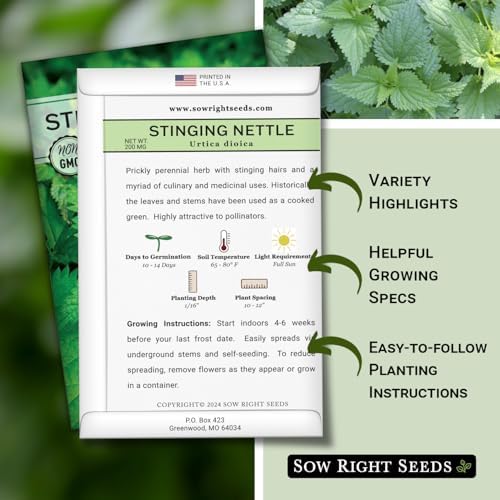 Sow Right Seeds - Stinging Nettle Seed for Planting Perennial Medicinal - Image 2