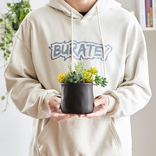 2pack Fake Plants in Ceramic Black Pots Artificial Succulents - Image 6