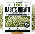 Garden Seeds for Planting, 100 Babys Breath by CZGrain