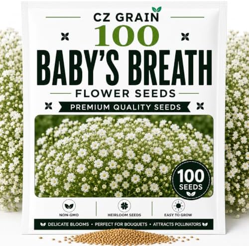 Garden Seeds for Planting, 100 Babys Breath by CZGrain