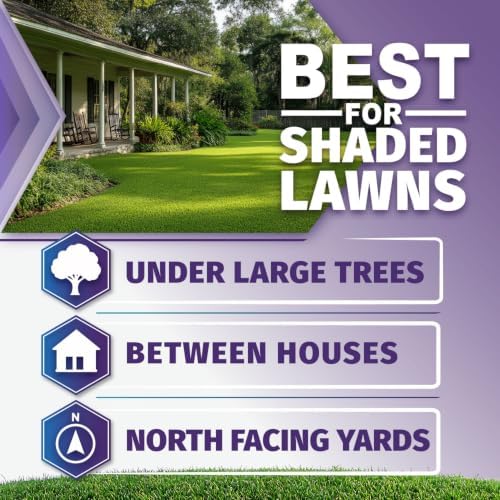 Shade Pro Grass Seed (10LBS) — Fine Fescue & Ryegrass Blend for Shaded Lawns — Thrives in Low-Light Areas — Dark Green, Dense Turf - Image 2