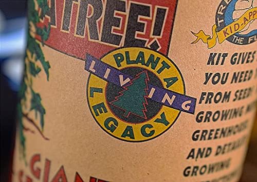 Giant Sequoia | Tree Seed Grow Kit | The Jonsteen Company - Image 3