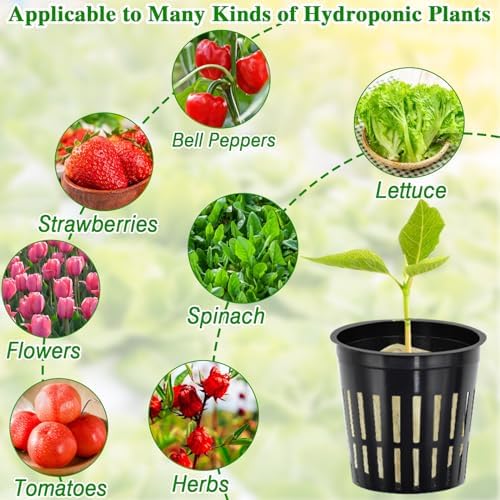 Halatool 24 x 2 Rockwool Cubes & 24 x 3 Net Cups Hydroponic Starter Kit - Image 5