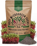 Organo Republic Beet Sprouting & Microgreens Seeds - 20,000 Non GMO Heirloom Seeds, Sprouts in Bulk 1lb Resealable Bag for Planting and Growing in Soil, Coconut Coir, Aeroponic & Hydroponic System by OrganoRepublic