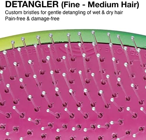 Olivia Garden Aurora Detangler Brush for Wet and Dry Fine to Medium Hair - Detangling Brush for Women, Men, Kids - Image 3