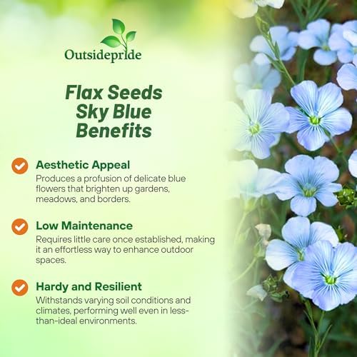 Outsidepride Sky Blue Flax Seeds - 2000 Pcs Annual Flower Seeds for Planting, Self-Seeding, Drought-Tolerant w/Compact Growth, for Small Gardens, Meadows, Borders, or Mass Plantings - Image 3