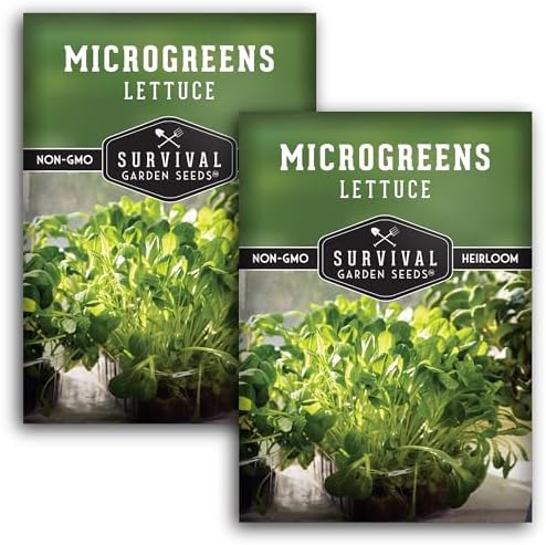 Lettuce Microgreens Seeds for Planting - 2 Packs by SurvivalGardenSeeds