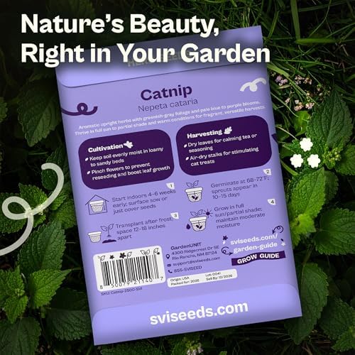 SVI 2500 Catnip Seeds (Nepeta cataria) – Catmint, Best Catnip for Cats Seed Packets, Heirloom Cat Nip Herb Seeds – Outdoor & Indoor Herb Garden, Containers, Herbs Beds - Image 2