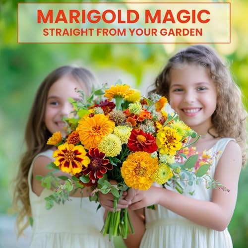 NatureZ Edge Marigold Seeds Mix, Over 5600 Seeds, Marigold Seeds for Planting Outdoors, Dainty Marietta, Petite French, Sparky French, and More (Pack of 3) - Image 2