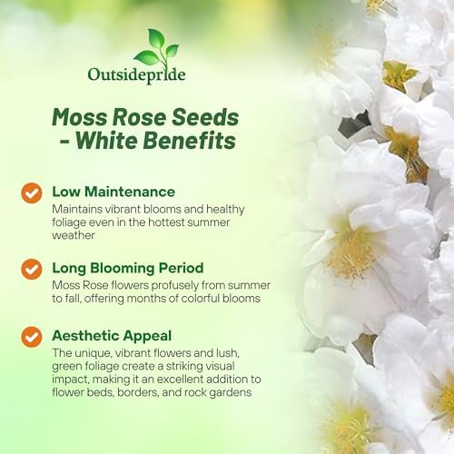 Outsidepride White Moss Rose Seeds - 10000 Pcs Annual, Drought & Heat Tolerant, Pollinator Friendly Ground Cover Seeds for Planting w/Vibrant Blooms & Succulent Foliage, Ideal for Xeriscaping - Image 3
